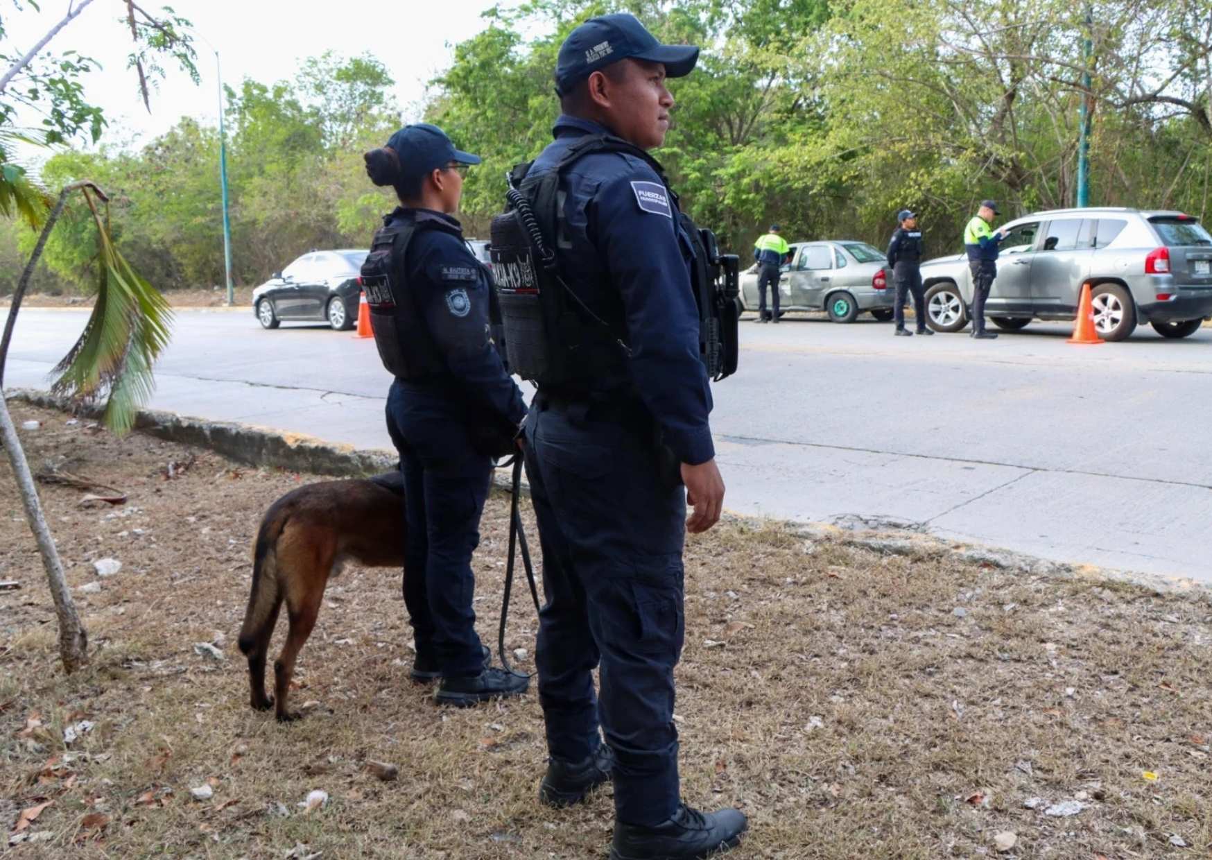 Las cámaras corporales fueron incorporadas para documentar las intervenciones policiales.